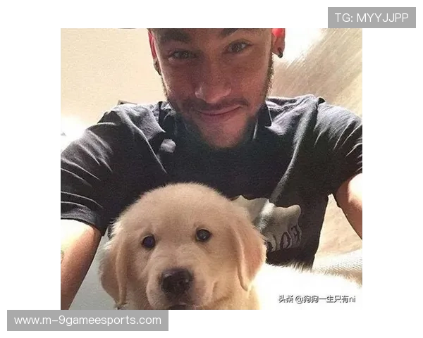 足球巨星们的爱犬揭秘他们与宠物之间温暖陪伴的故事